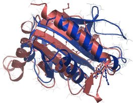 flavodoxin: 3D-superposition of pdb1flv and pdb1ja1.